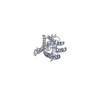 11894_7ash_R_v1-1
HIV-1 Gag immature lattice. GagdeltaMASP1T8I