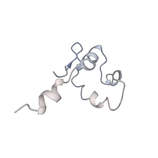 11904_7ast_B_v1-1
Apo Human RNA Polymerase III