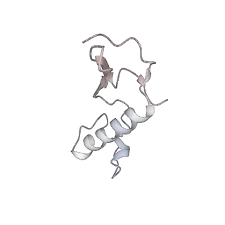 11904_7ast_E_v1-1
Apo Human RNA Polymerase III