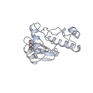 11904_7ast_F_v1-1
Apo Human RNA Polymerase III