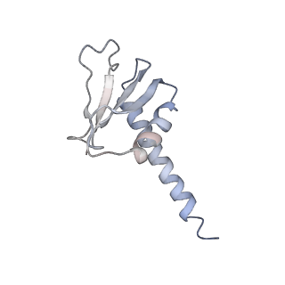 11904_7ast_G_v1-1
Apo Human RNA Polymerase III