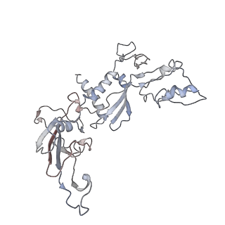 11904_7ast_H_v1-1
Apo Human RNA Polymerase III