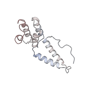 11904_7ast_I_v1-1
Apo Human RNA Polymerase III