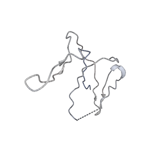 11904_7ast_L_v1-1
Apo Human RNA Polymerase III