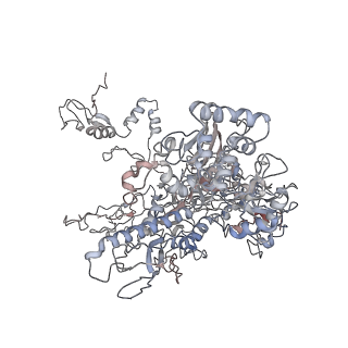 11904_7ast_M_v1-1
Apo Human RNA Polymerase III