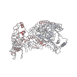 11904_7ast_N_v1-1
Apo Human RNA Polymerase III