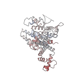 11904_7ast_X_v1-1
Apo Human RNA Polymerase III