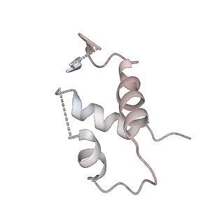 11904_7ast_Z_v1-1
Apo Human RNA Polymerase III