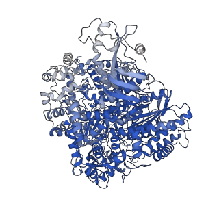 15607_8as6_A_v1-2
Structure of the SFTSV L protein bound to 5' cRNA hook [5' HOOK]