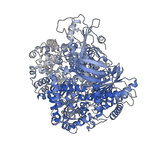 15608_8as7_A_v1-2
Structure of the SFTSV L protein stalled at early elongation [EARLY-ELONGATION]