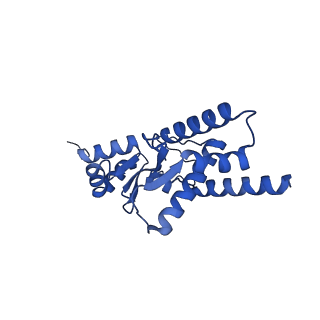 15609_8as8_D_v1-1
E. coli Wadjet JetABC monomer