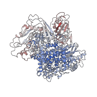 15610_8asb_A_v1-2
Structure of the SFTSV L protein stalled at early elongation with the endonuclease domain in a raised conformation [EARLY-ELONGATION-ENDO]