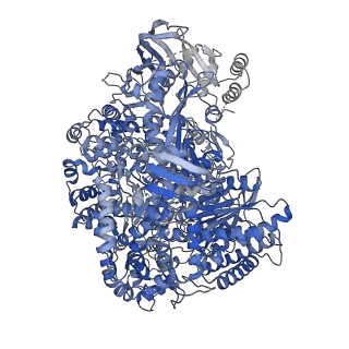 15614_8asd_A_v1-2
Structure of the SFTSV L protein stalled at late elongation [LATE-ELONGATION]