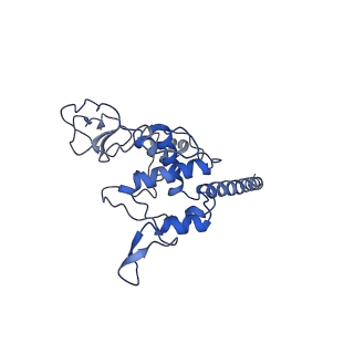 15616_8asi_G_v1-1
Four subunit cytochrome b-c1 complex from Rhodobacter sphaeroides in native nanodiscs - consensus refinement in the b-b conformation