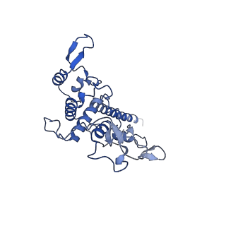 15617_8asj_C_v1-1
Four subunit cytochrome b-c1 complex from Rhodobacter sphaeroides in native nanodiscs - focussed refinement in the b-c conformation