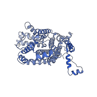 15617_8asj_F_v1-1
Four subunit cytochrome b-c1 complex from Rhodobacter sphaeroides in native nanodiscs - focussed refinement in the b-c conformation