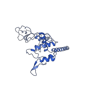 15617_8asj_G_v1-1
Four subunit cytochrome b-c1 complex from Rhodobacter sphaeroides in native nanodiscs - focussed refinement in the b-c conformation