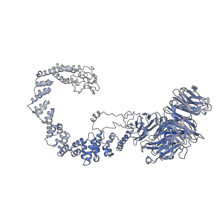 15623_8asw_A_v1-2
Cryo-EM structure of yeast Elp123 in complex with alanine tRNA