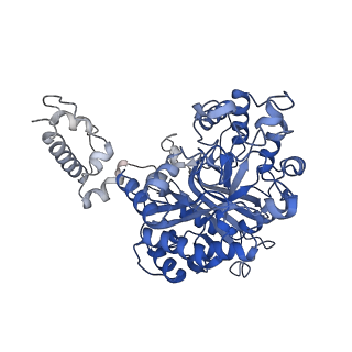 15623_8asw_C_v1-2
Cryo-EM structure of yeast Elp123 in complex with alanine tRNA