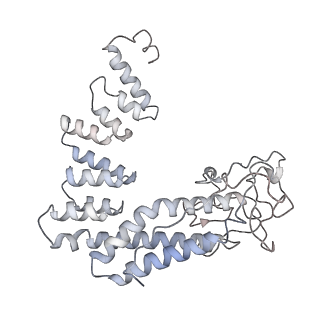 15623_8asw_D_v1-2
Cryo-EM structure of yeast Elp123 in complex with alanine tRNA