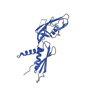 7002_6asx_G_v1-2
CryoEM structure of E.coli his pause elongation complex