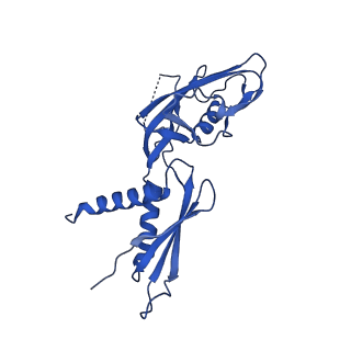 7002_6asx_G_v1-3
CryoEM structure of E.coli his pause elongation complex