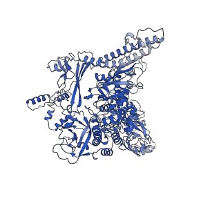 7002_6asx_I_v1-2
CryoEM structure of E.coli his pause elongation complex