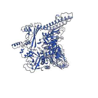 7002_6asx_I_v1-3
CryoEM structure of E.coli his pause elongation complex