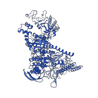 7002_6asx_J_v1-2
CryoEM structure of E.coli his pause elongation complex
