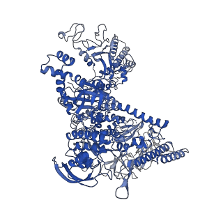 7002_6asx_J_v1-3
CryoEM structure of E.coli his pause elongation complex