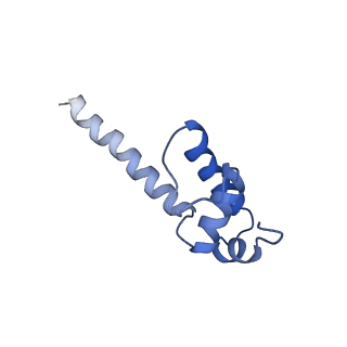 7002_6asx_K_v1-2
CryoEM structure of E.coli his pause elongation complex