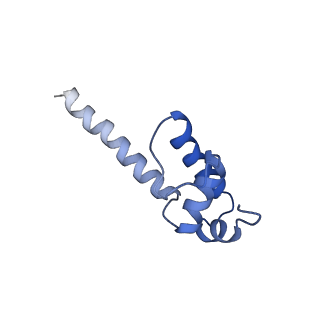 7002_6asx_K_v1-3
CryoEM structure of E.coli his pause elongation complex