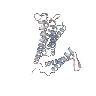 11922_7atn_C_v1-0
Cytochrome c oxidase structure in R-state