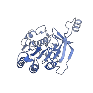 15635_8at6_A_v1-2
Cryo-EM structure of yeast Elp456 subcomplex