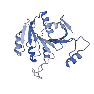 15635_8at6_B_v1-2
Cryo-EM structure of yeast Elp456 subcomplex