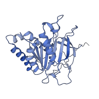 15635_8at6_C_v1-2
Cryo-EM structure of yeast Elp456 subcomplex