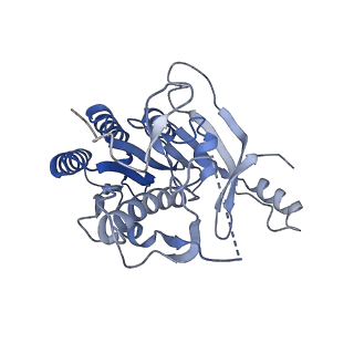 15635_8at6_D_v1-2
Cryo-EM structure of yeast Elp456 subcomplex