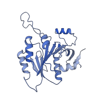 15635_8at6_E_v1-2
Cryo-EM structure of yeast Elp456 subcomplex