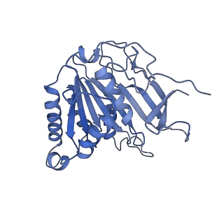 15635_8at6_F_v1-2
Cryo-EM structure of yeast Elp456 subcomplex
