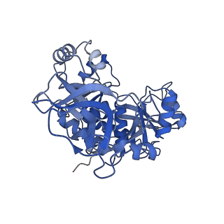 15646_8atd_B_v1-1
Wild type hexamer oxalyl-CoA synthetase (OCS)