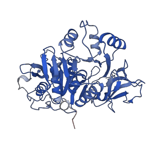 15646_8atd_D_v1-1
Wild type hexamer oxalyl-CoA synthetase (OCS)