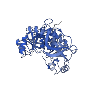 15646_8atd_E_v1-1
Wild type hexamer oxalyl-CoA synthetase (OCS)