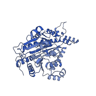 15647_8atf_G_v1-1
Nucleosome-bound Ino80 ATPase