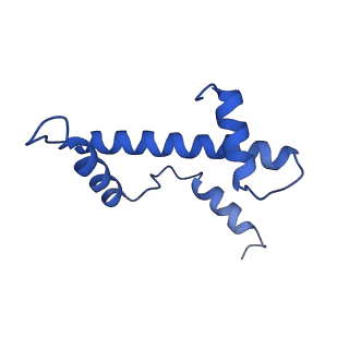 15647_8atf_M_v1-1
Nucleosome-bound Ino80 ATPase