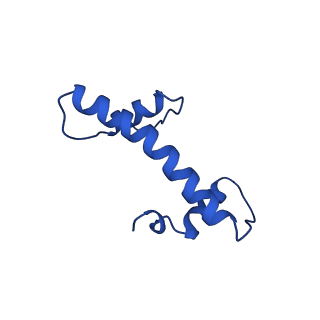 15647_8atf_N_v1-1
Nucleosome-bound Ino80 ATPase