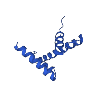 15647_8atf_P_v1-1
Nucleosome-bound Ino80 ATPase