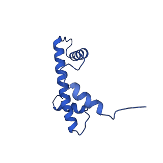 15647_8atf_Q_v1-1
Nucleosome-bound Ino80 ATPase