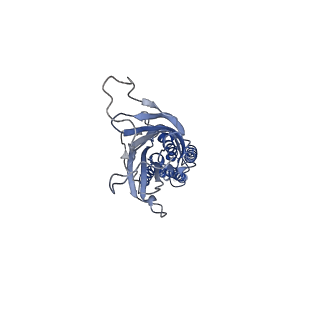 15649_8atg_D_v1-1
Pentameric ligand-gated ion channel GLIC with bound lipids