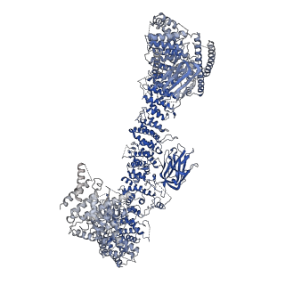 15653_8atm_A_v1-2
Structure of the giant inhibitor of apoptosis, BIRC6 (composite map)
