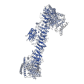 15653_8atm_B_v1-2
Structure of the giant inhibitor of apoptosis, BIRC6 (composite map)